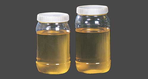 EXTRACTED FILTERED EDIBLE OIL FROM OILSEEDS