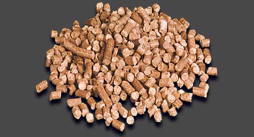 Animal Feed 