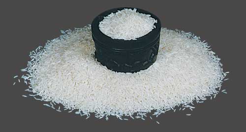Rice